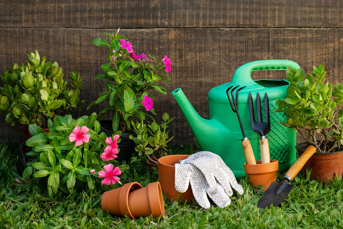 Gartenpflege